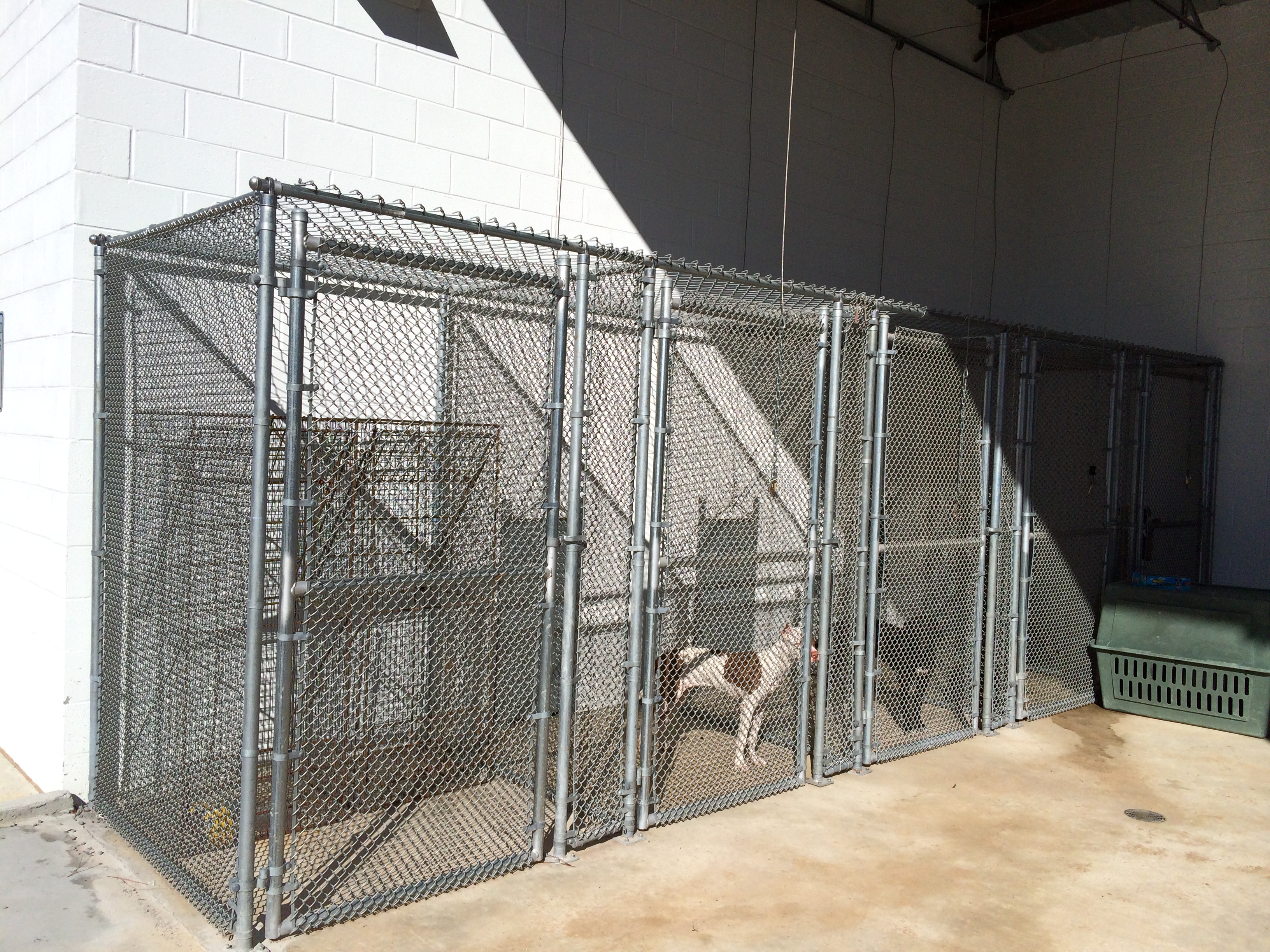 Outside view of Shelter cages